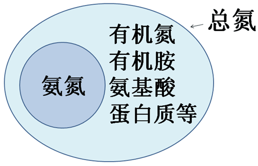 总氮与氨氮的关系图