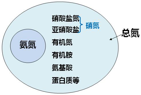 污水总氮的构成图