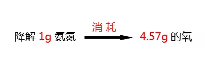 氨氮降解所需氧的比值_九游会J9环保