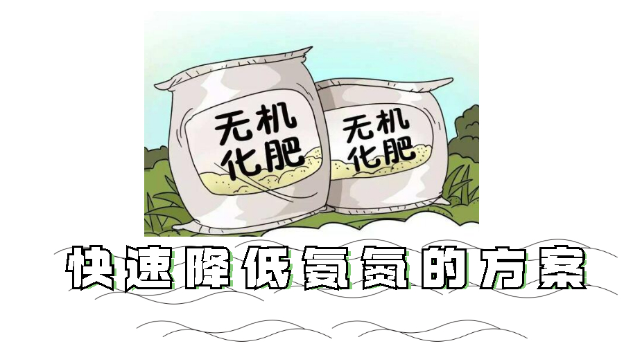 快速降低氨氮的方法